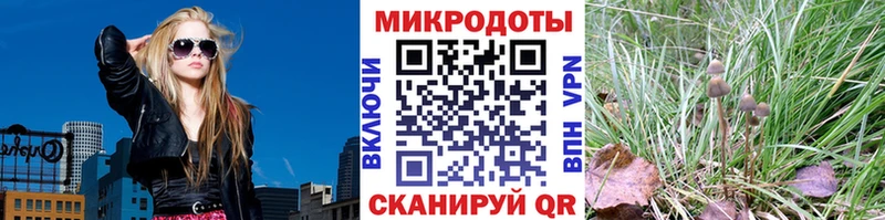 Псилоцибиновые грибы GOLDEN TEACHER  как найти закладки  Мамоново 